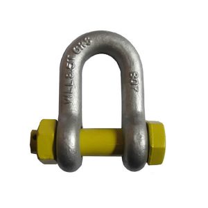 AS2741 Type Grade S Dee Shackle With Safety Pin