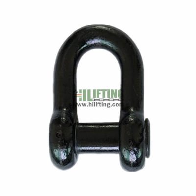 D type Anchor End Joining Shackle Supplier - Hilifting